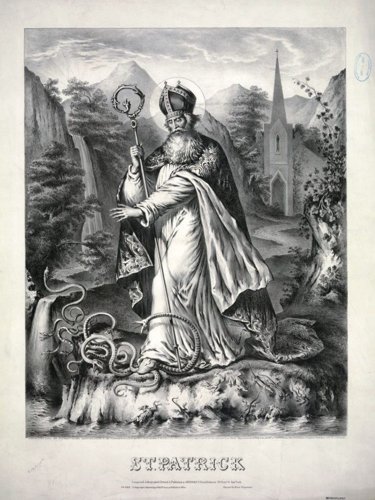 Patrick banished snakes from Ireland